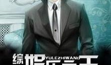 在线观看 娱乐之王,揭秘网络视频时代的崛起与变革