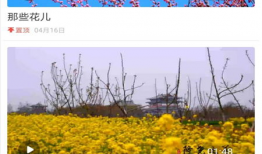 隆尧爆料最新新闻,聚焦热点事件深度解析